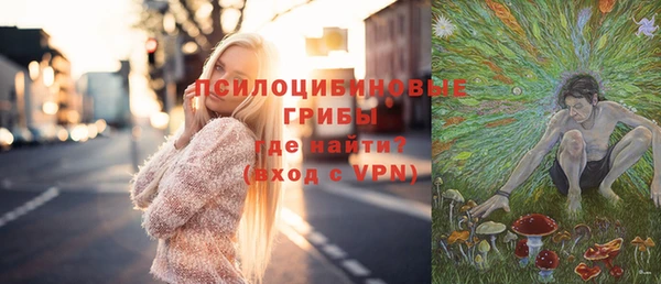 гашик Балабаново