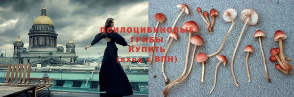 гашик Балабаново
